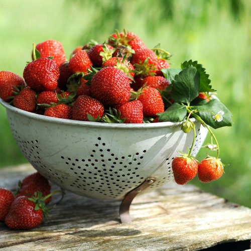 Erdbeer-Chutney
